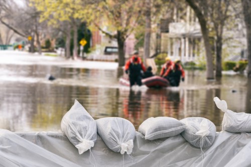 ‘We need an Apollo project’ for flood risk